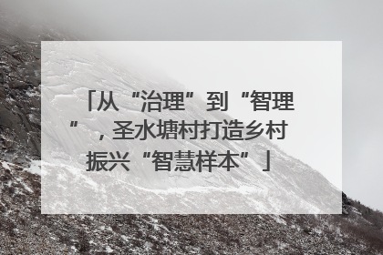 从“治理”到“智理”，圣水塘村打造乡村振兴“智慧样本”