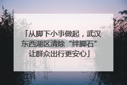 从脚下小事做起，武汉东西湖区清除“绊脚石”让群众出行更安心