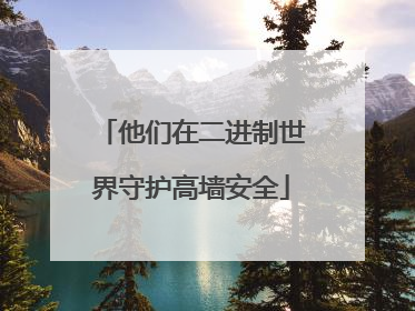 他们在二进制世界守护高墙安全