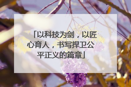 以科技为剑，以匠心育人，书写捍卫公平正义的篇章