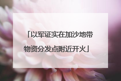 以军证实在加沙地带物资分发点附近开火