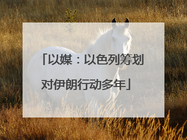 以媒：以色列筹划对伊朗行动多年