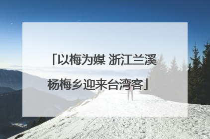 以梅为媒 浙江兰溪杨梅乡迎来台湾客