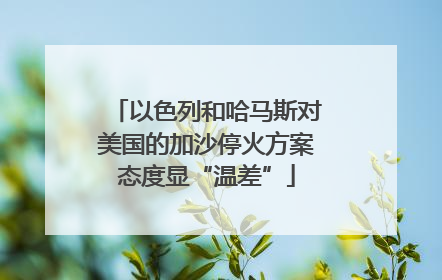 以色列和哈马斯对美国的加沙停火方案态度显“温差”