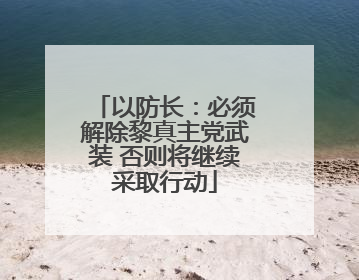 以防长：必须解除黎真主党武装 否则将继续采取行动