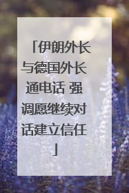 伊朗外长与德国外长通电话 强调愿继续对话建立信任