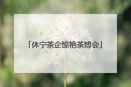 休宁茶企惊艳茶博会
