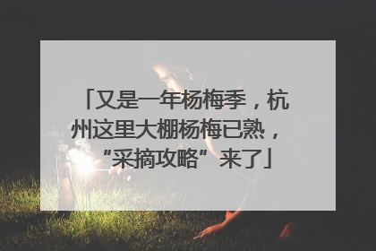 又是一年杨梅季，杭州这里大棚杨梅已熟，“采摘攻略”来了