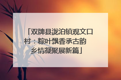 双牌县泷泊镇观文口村：粽叶飘香承古韵 乡情凝聚展新篇