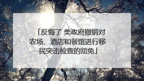 反悔了 美政府撤销对农场、酒店和餐馆进行移民突击检查的豁免