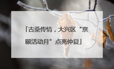 古桑传情，大兴区“京颐活动月”点亮仲夏