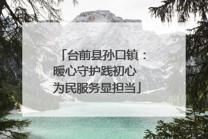 台前县孙口镇：暖心守护践初心 为民服务显担当