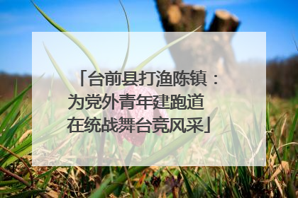 台前县打渔陈镇：为党外青年建跑道 在统战舞台竞风采