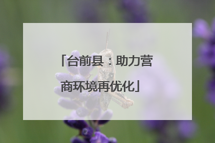 台前县：助力营商环境再优化