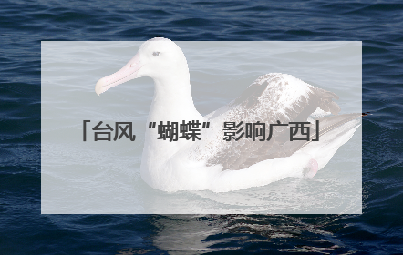 台风“蝴蝶”影响广西