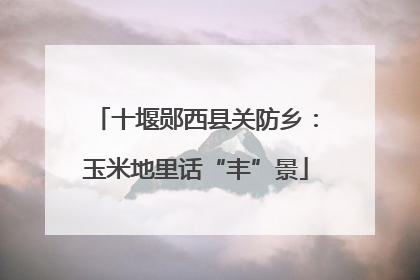 十堰郧西县关防乡：玉米地里话“丰”景