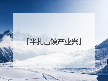 半扎古镇产业兴