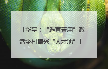 华亭：“选育管用”激活乡村振兴“人才池”