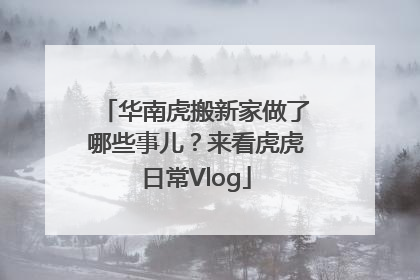 华南虎搬新家做了哪些事儿？来看虎虎日常Vlog
