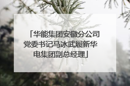 华能集团安徽分公司党委书记马冰武履新华电集团副总经理