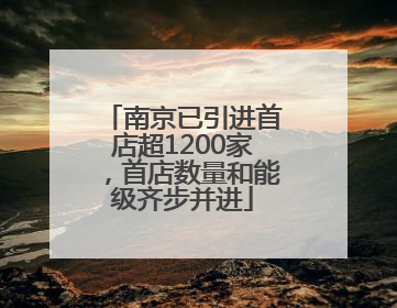 南京已引进首店超1200家，首店数量和能级齐步并进
