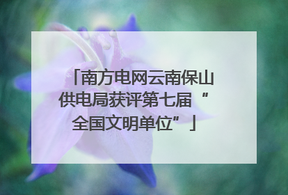 南方电网云南保山供电局获评第七届“全国文明单位”