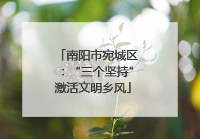 南阳市宛城区：“三个坚持”激活文明乡风