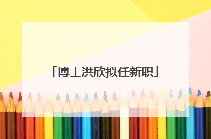 博士洪欣拟任新职