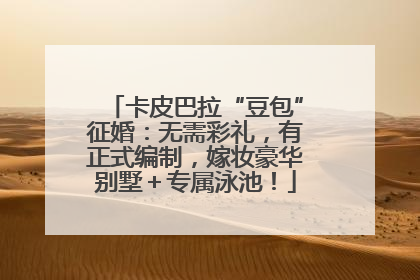 卡皮巴拉“豆包”征婚：无需彩礼，有正式编制，嫁妆豪华别墅＋专属泳池！