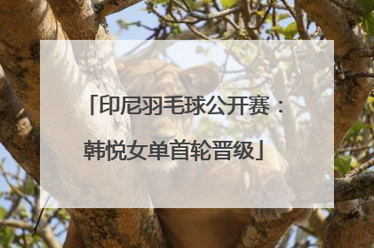 印尼羽毛球公开赛：韩悦女单首轮晋级