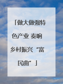 做大做强特色产业 奏响乡村振兴“富民曲”