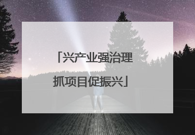 兴产业强治理 抓项目促振兴