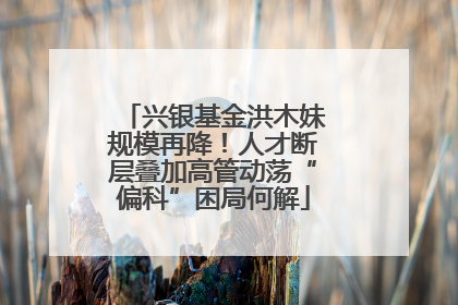 兴银基金洪木妹规模再降！人才断层叠加高管动荡“偏科”困局何解