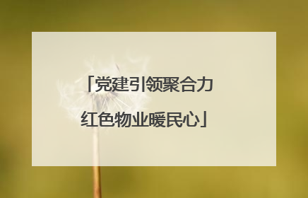 党建引领聚合力 红色物业暖民心