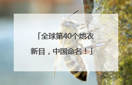 全球第40个地衣新目，中国命名！