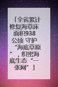 全省累计修复海草床面积938公顷 守护“海底草原”，织密海底生态“一张网”