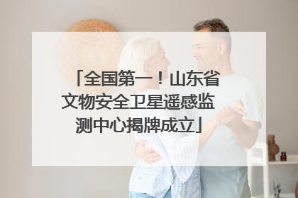 全国第一！山东省文物安全卫星遥感监测中心揭牌成立