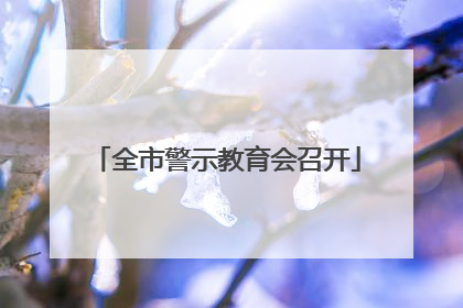 全市警示教育会召开