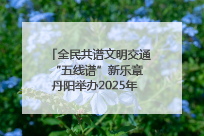 全民共谱文明交通“五线谱”新乐章 丹阳举办2025年“文明交通 同心同行”主题宣传活动