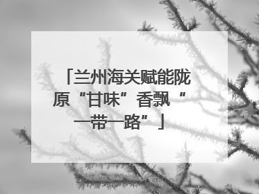 兰州海关赋能陇原“甘味”香飘“一带一路”