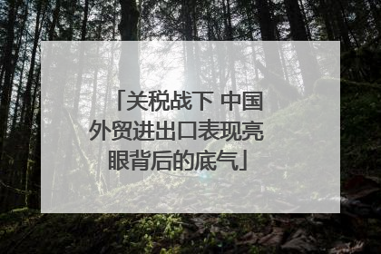 关税战下 中国外贸进出口表现亮眼背后的底气