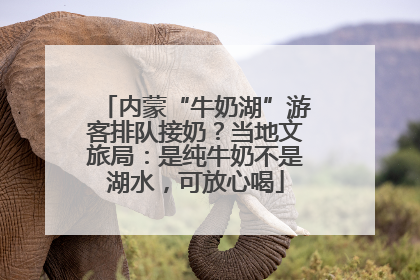 内蒙“牛奶湖”游客排队接奶？当地文旅局：是纯牛奶不是湖水，可放心喝