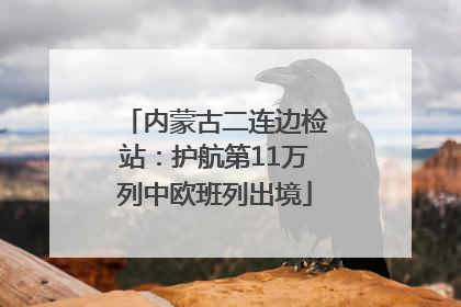 内蒙古二连边检站：护航第11万列中欧班列出境