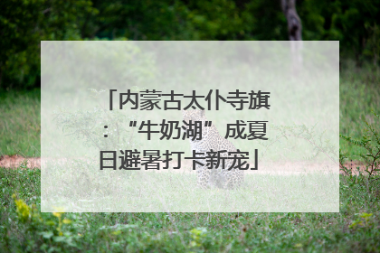内蒙古太仆寺旗：“牛奶湖”成夏日避暑打卡新宠