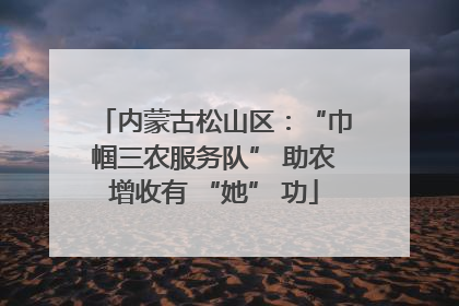 内蒙古松山区：“巾帼三农服务队” 助农增收有 “她” 功