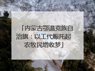 内蒙古鄂温克族自治旗：以工代赈托起农牧民增收梦