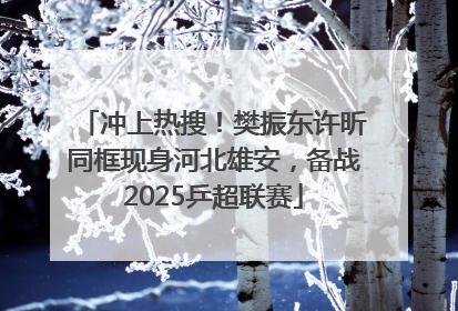 冲上热搜！樊振东许昕同框现身河北雄安，备战2025乒超联赛