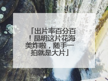 出片率百分百！昆明这片花海美炸啦，随手一拍就是大片