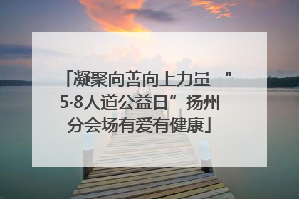 凝聚向善向上力量 “5·8人道公益日”扬州分会场有爱有健康