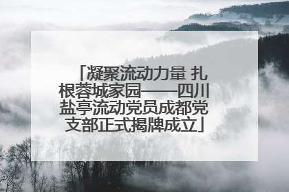 凝聚流动力量 扎根蓉城家园——四川盐亭流动党员成都党支部正式揭牌成立